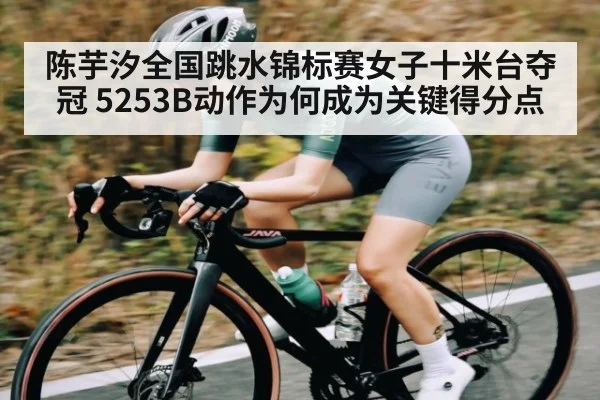陈芋汐全国跳水锦标赛女子十米台夺冠 5253B动作为何成为关键得分点